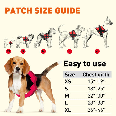 Unimax Multi-Purpose Harness, Blue