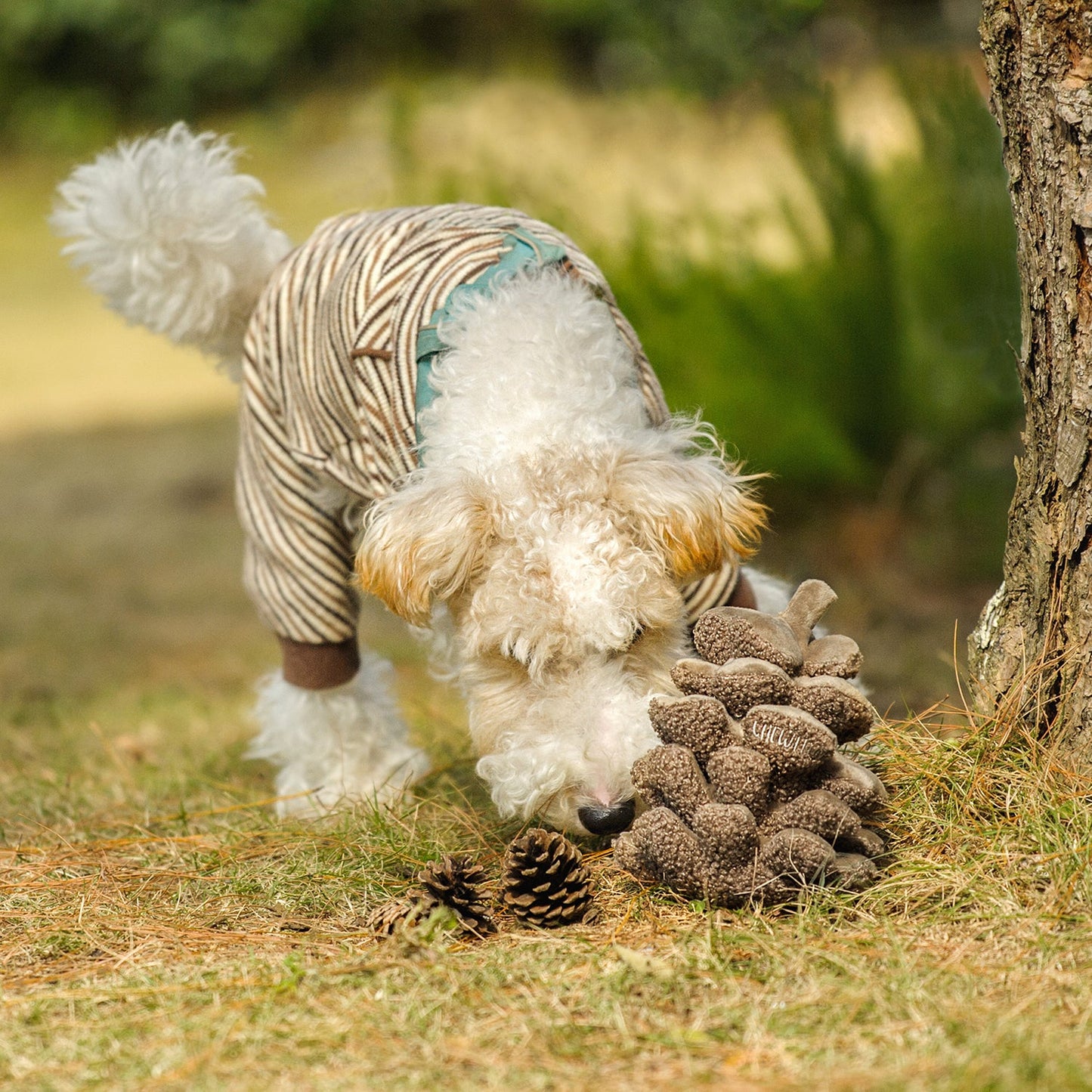 Pinecone Snuffle & Squeak Dog Toy