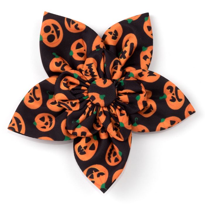 Jack-o-lantern Flower