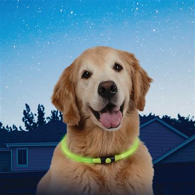 NiteHowl LED Safety Necklace, Green