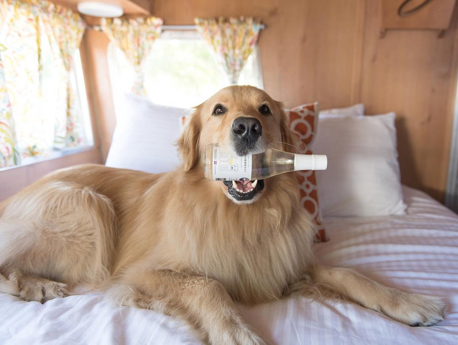 Dog Wine - CharDOGnay, Fish Oil+Bone Health Liquid Supplement