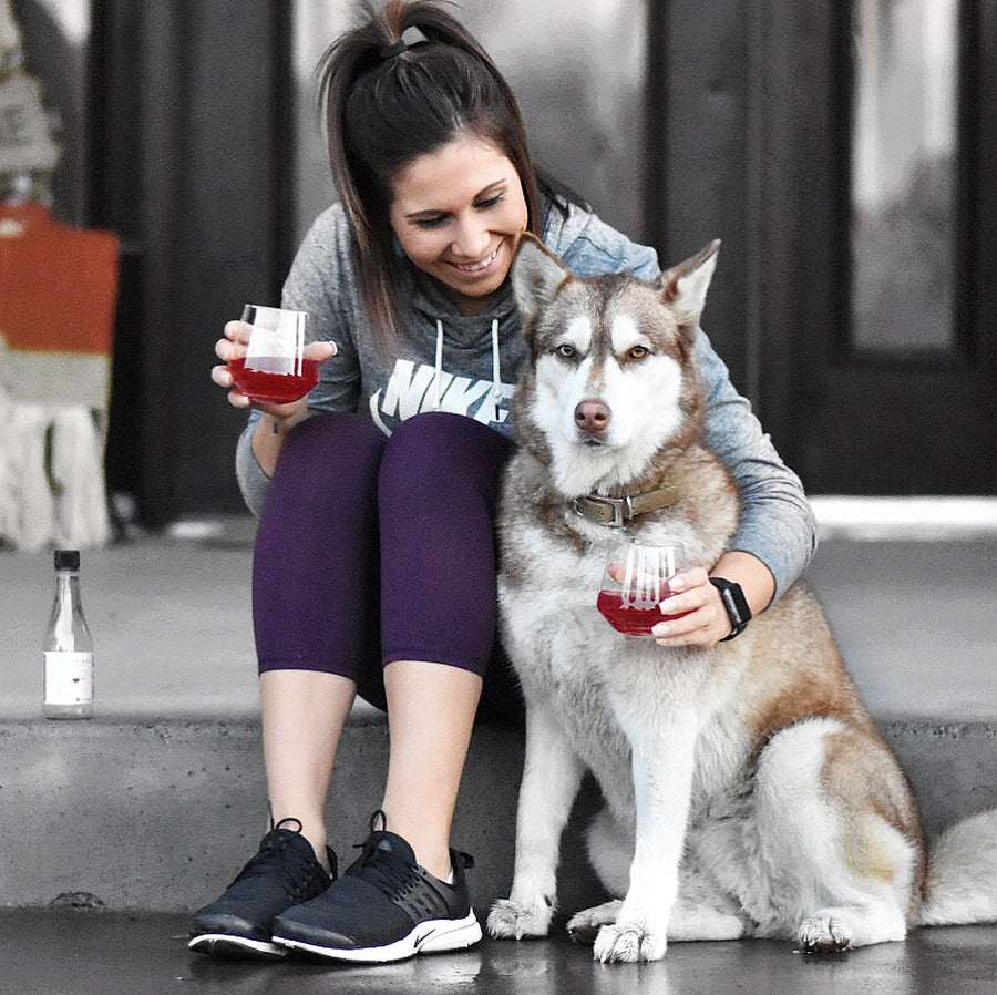 Dog Wine - ZinfanTail Fish Oil + Bone Health Liquid Supplement