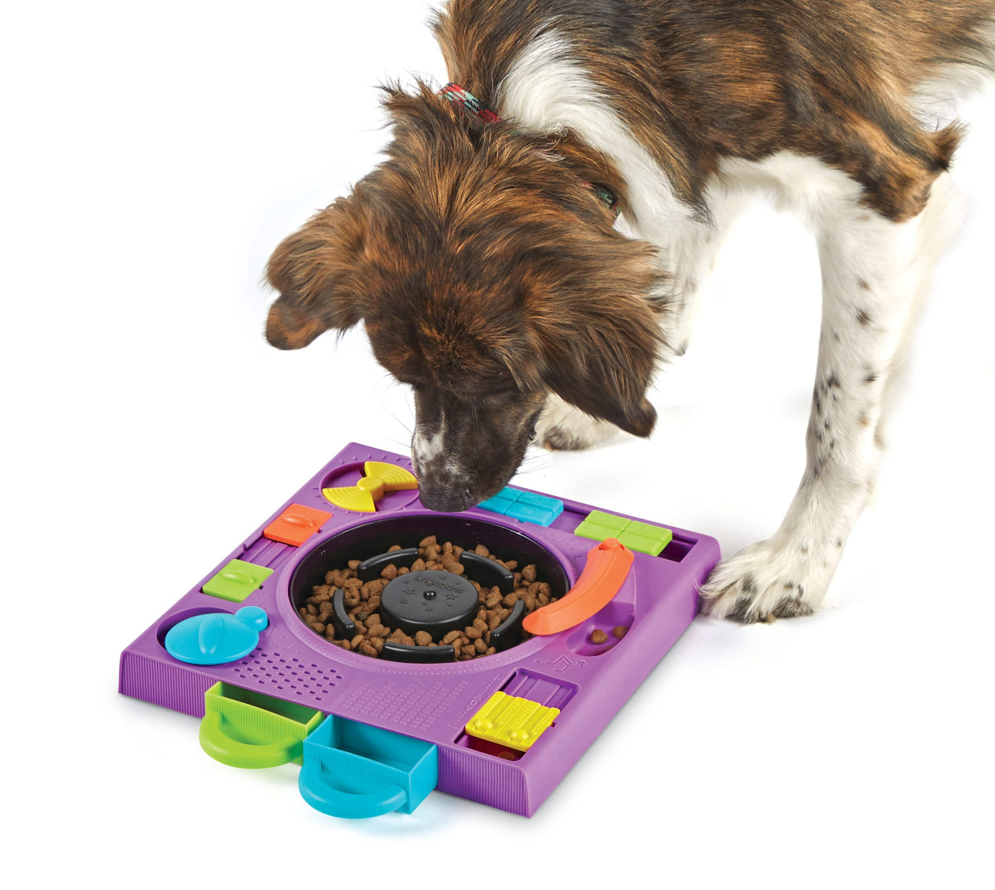DJ Doggo Puzzle Feeder