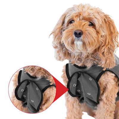 BellyGuard Recovery Suit For Dogs, Grey