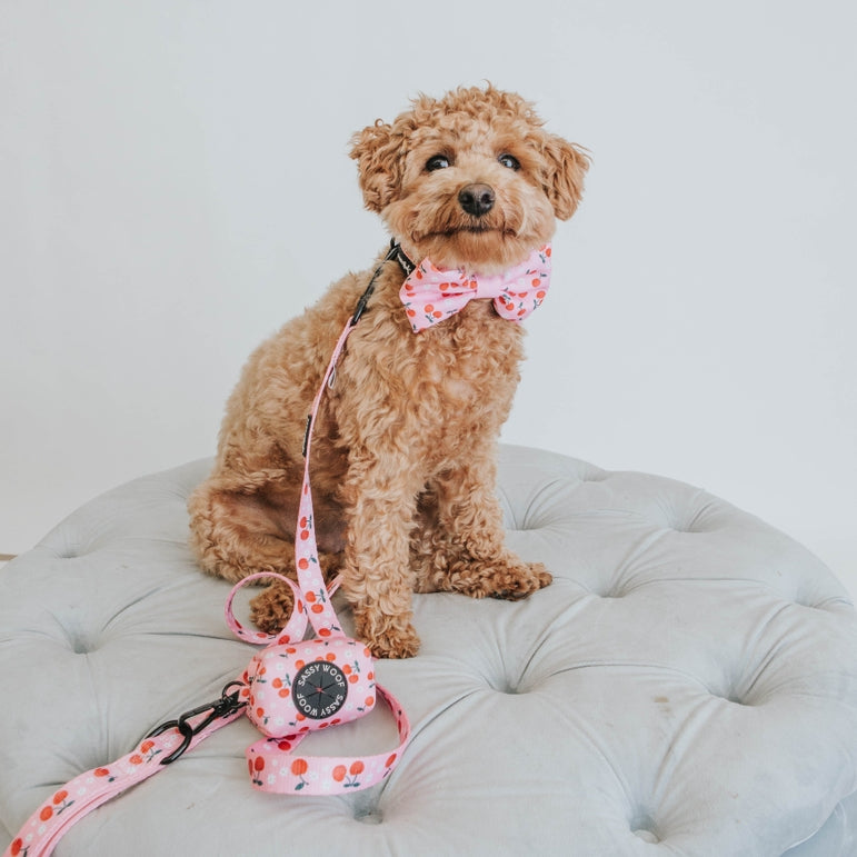 Dog Leash - Mon Chérry