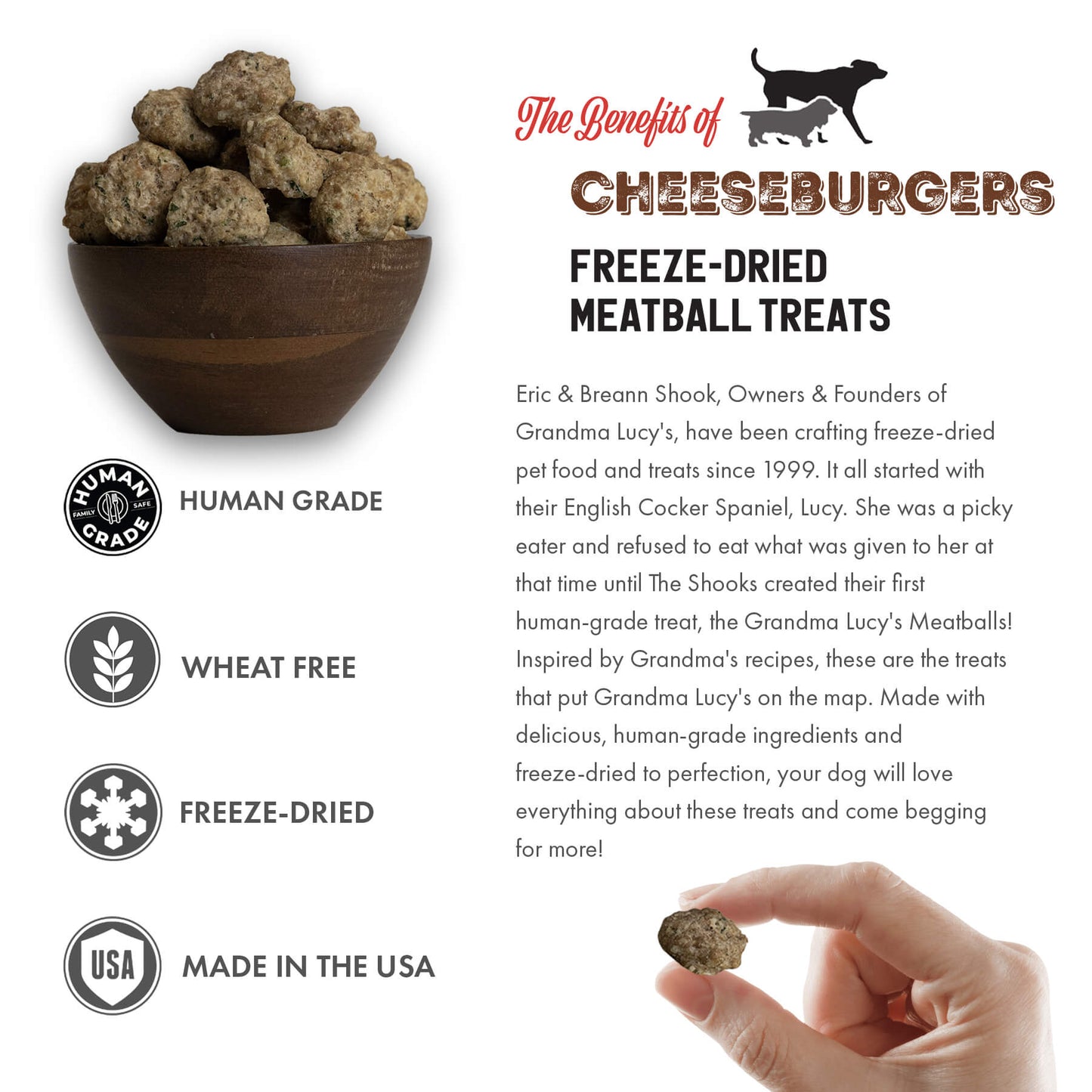 Grandma Lucy's Freeze-Dried Meatballs - Cheeseburgers