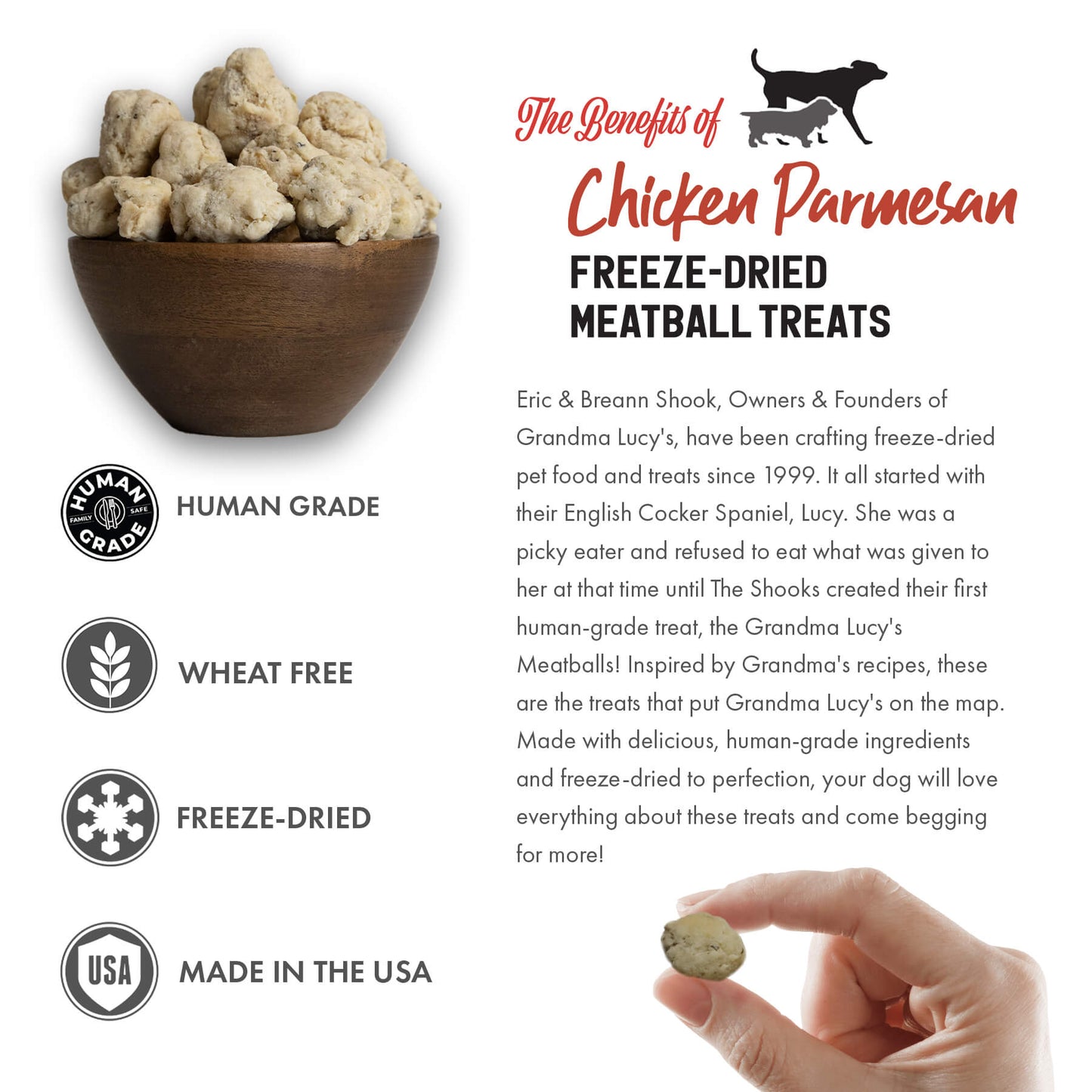 Grandma Lucy's Freeze-Dried Meatballs - Chicken Parmesan