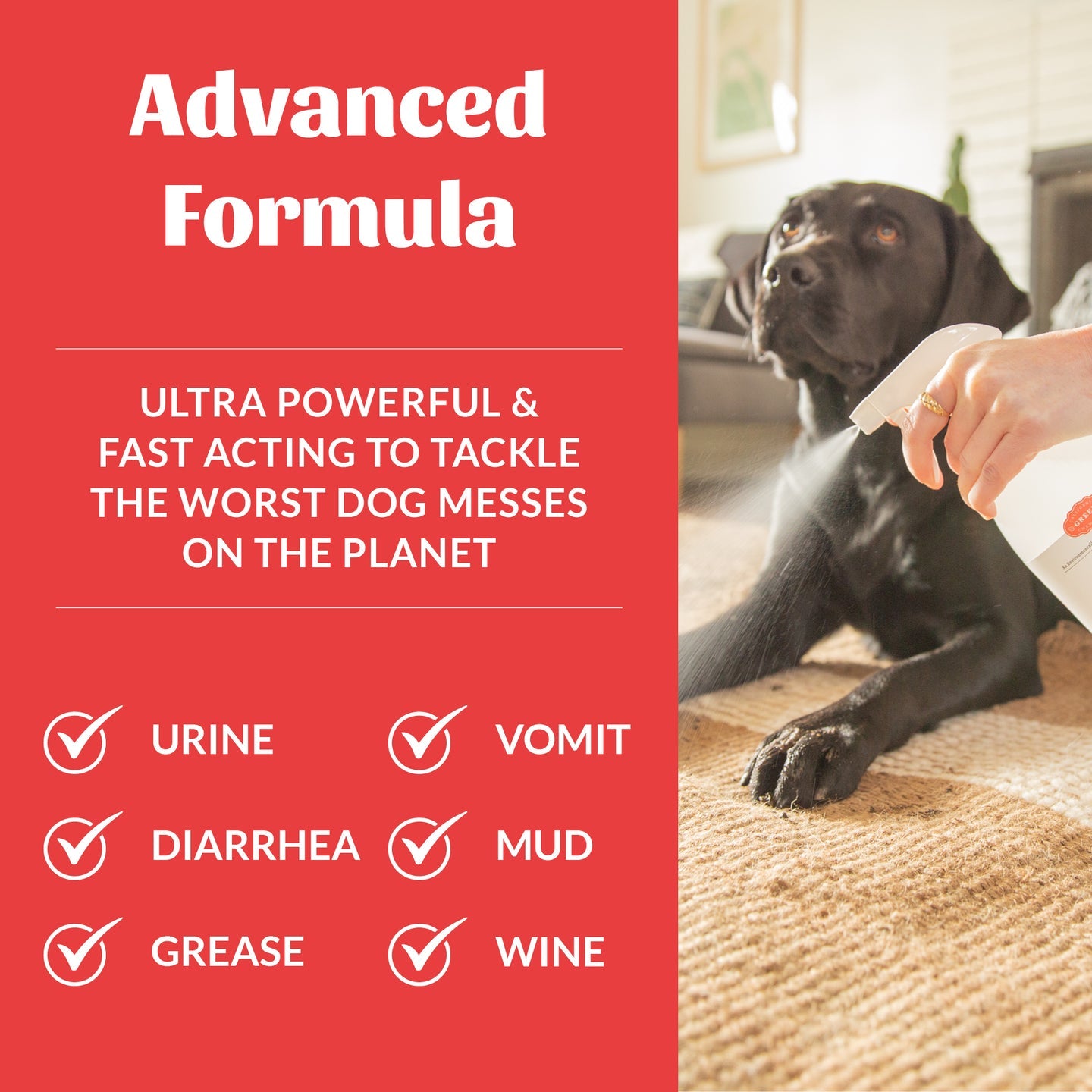 Skout's Honor Severe Mess Stain & Odor Advanced Formula