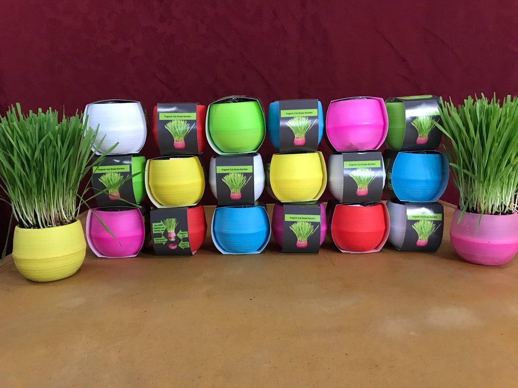 Cat Grass Garden Balls