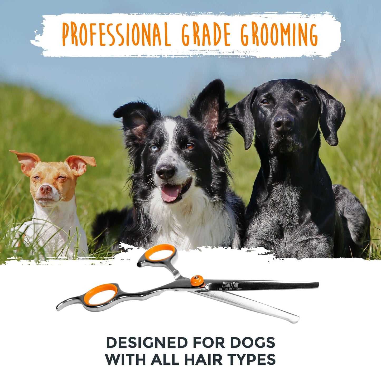 Professional Dog Grooming Shears (2 Pack), Orange