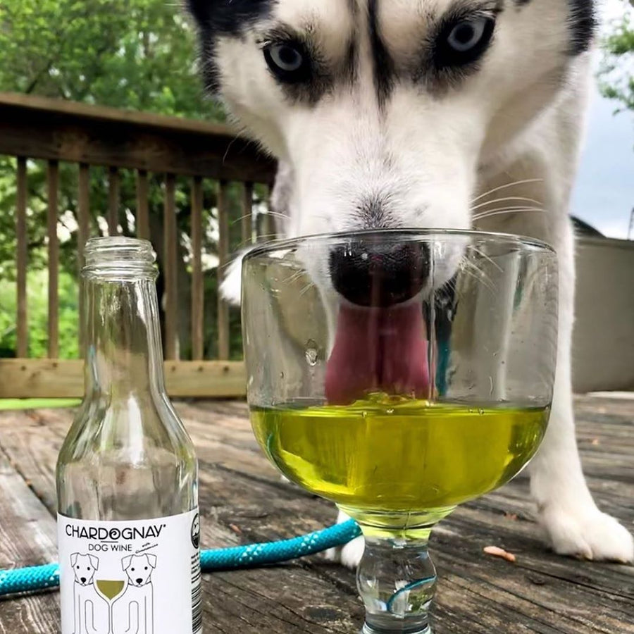 Dog Wine - CharDOGnay, Fish Oil+Bone Health Liquid Supplement