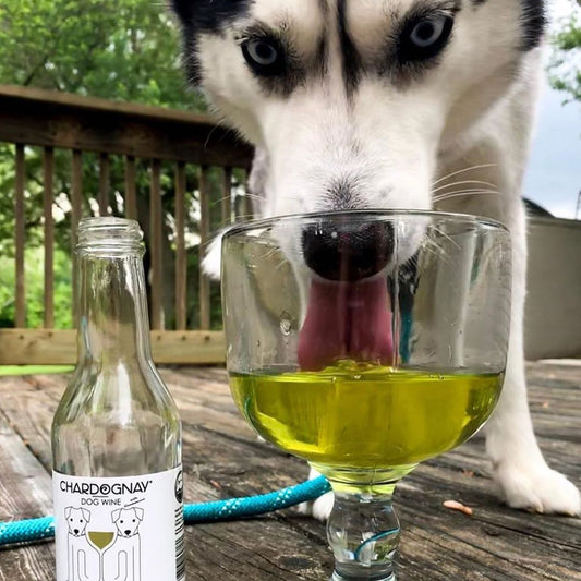 Dog Wine - CharDOGnay Fish Oil + Bone Health Liquid Supplement