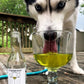 Dog Wine - CharDOGnay Fish Oil + Bone Health Liquid Supplement