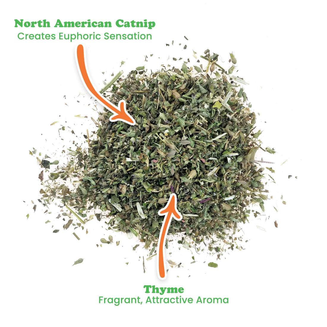 Thyme Out - Catnip and Thyme Blend