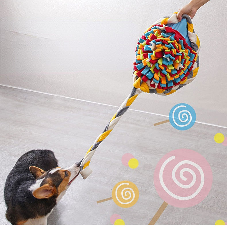 Dog Snuffle Mat - Candy