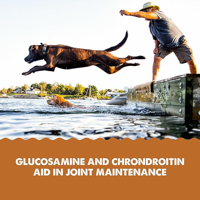 Grizzly Joint Aid Liquid Hip & Joint Dog Supplement