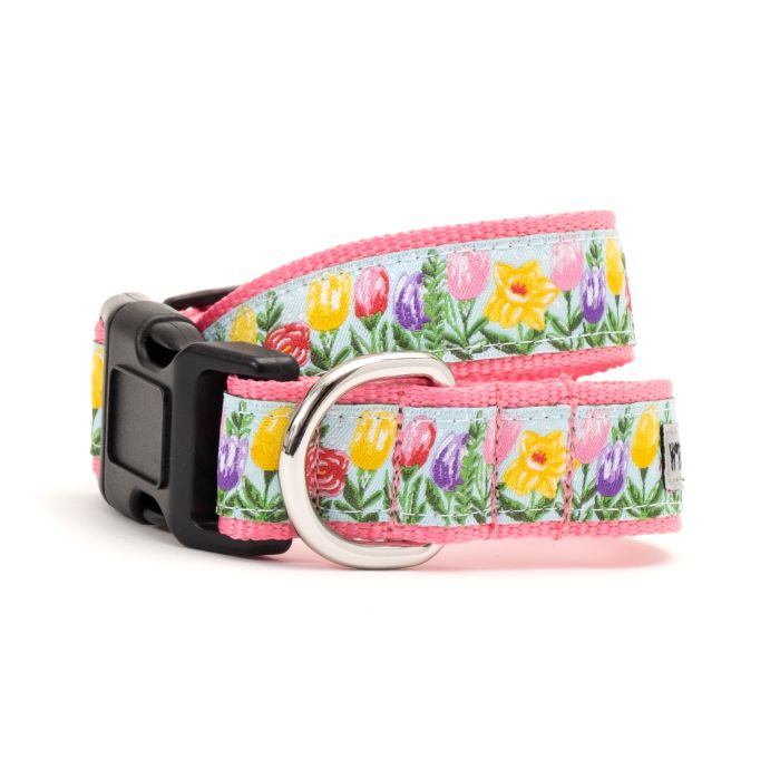 Dog Collar - Hello Spring