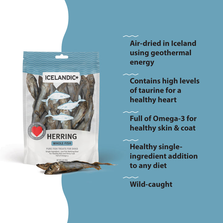Icelandic+ | Herring Whole Fish Dog Treats 3oz-bag