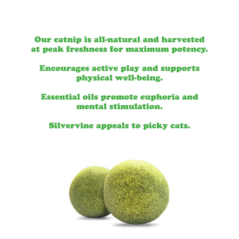 Purrple Passion Compressed Catnip Ball Refill - 2 Pack
