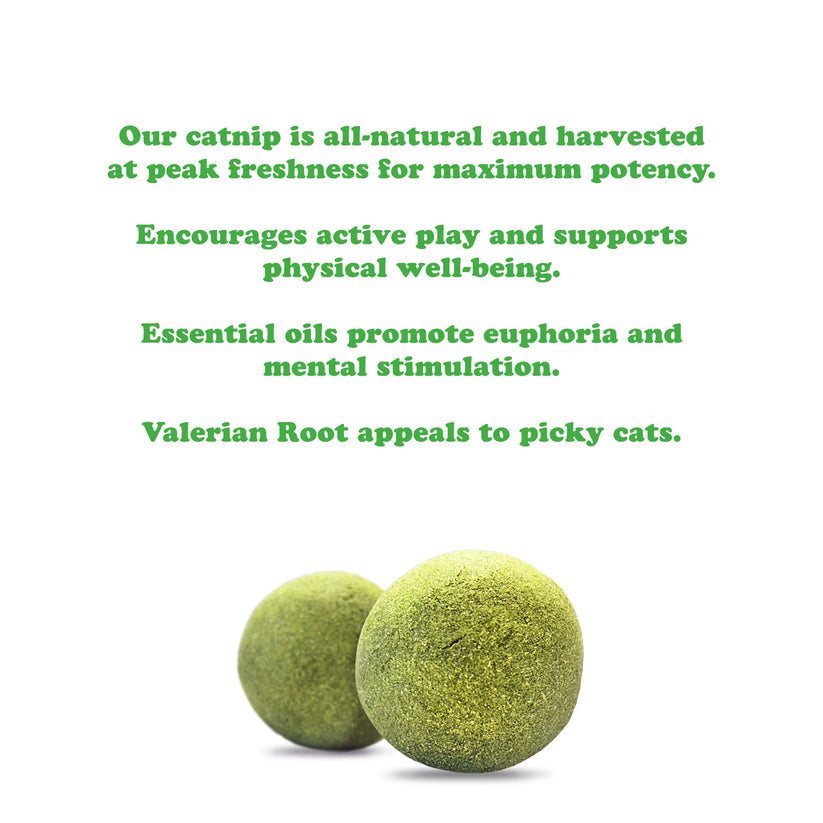 Kalico Kush Compressed Catnip Ball Refill - 2 Pack