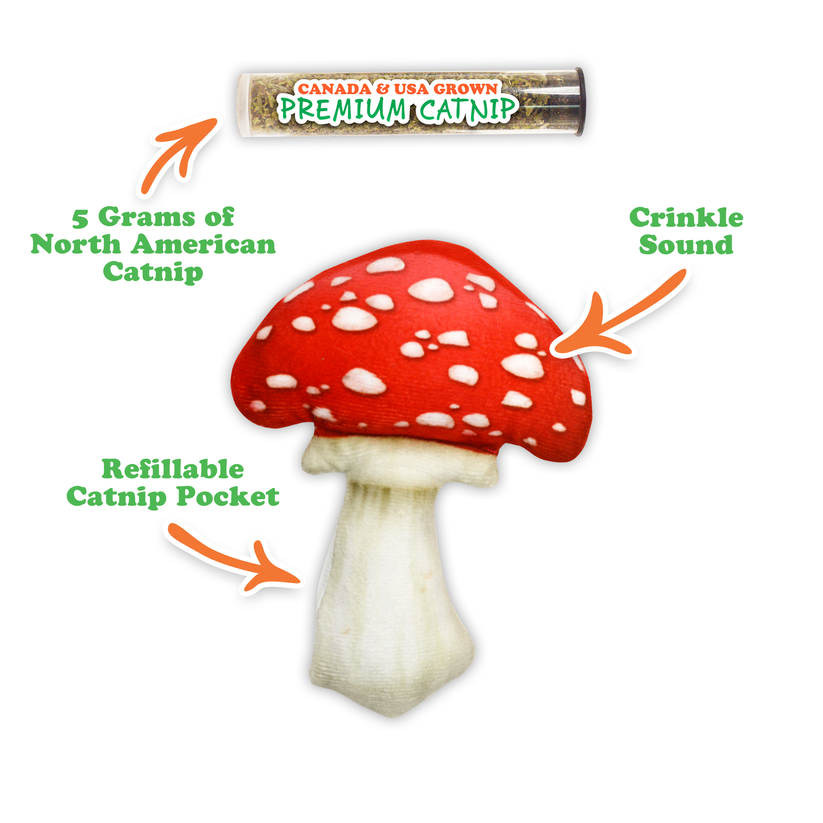 Get Sprung Refillable Mushroom