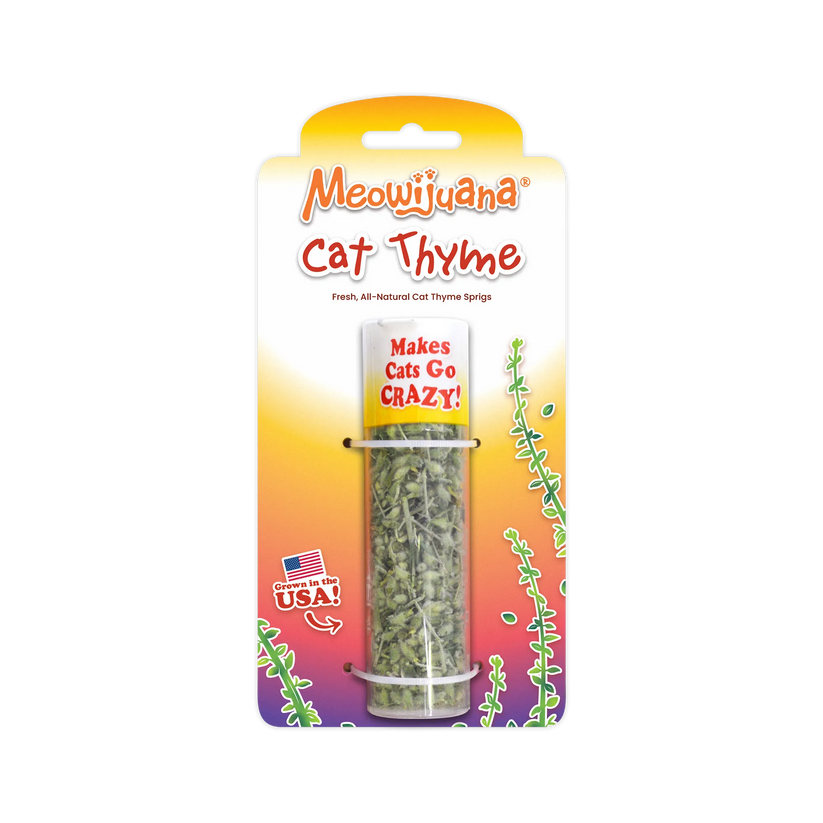 Cat Thyme Sprigs