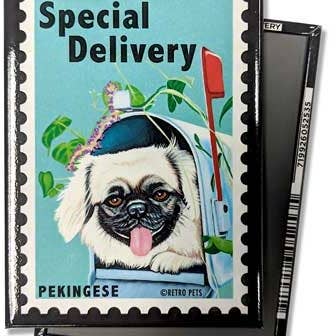 Dog Magnet - Pekingese "Special Delivery"