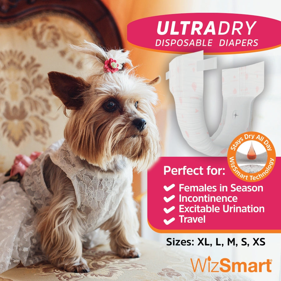Wizsmart UltraDry Disposable Dog Diapers - 12ct