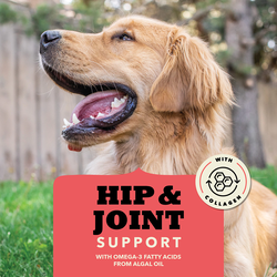 ACANA Chewy Strips Dog Treats, Beef Recipe