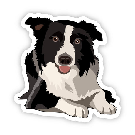Dog Sticker -  Border Collie