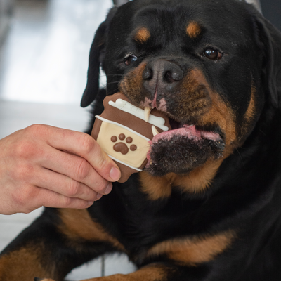Barkuccino Cookie