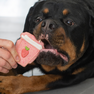 Pink Smoothie Cookie