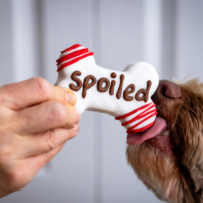 Spoiled 4" Chubby Bone Cookie