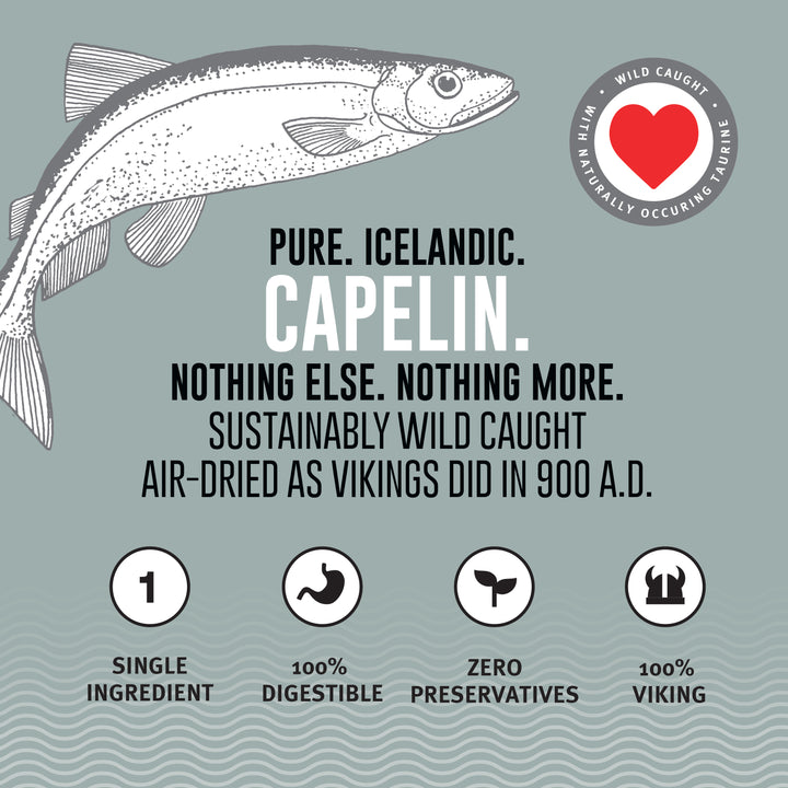 Icelandic+ Capelin Whole Fish & Pieces Cat Treats