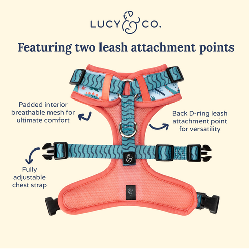 No-Pull Harness - DinoROAR