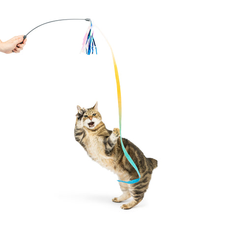 Dance & Lure Aqua Cat Wand
