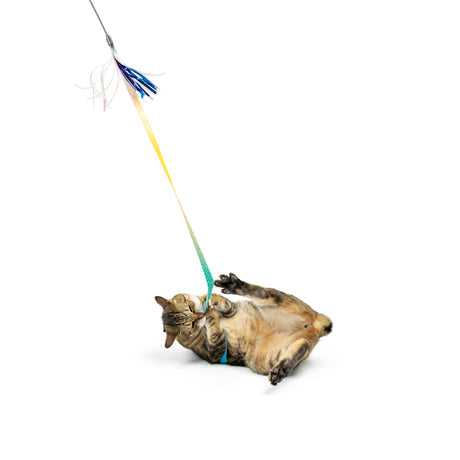 Dance & Lure Aqua Cat Wand