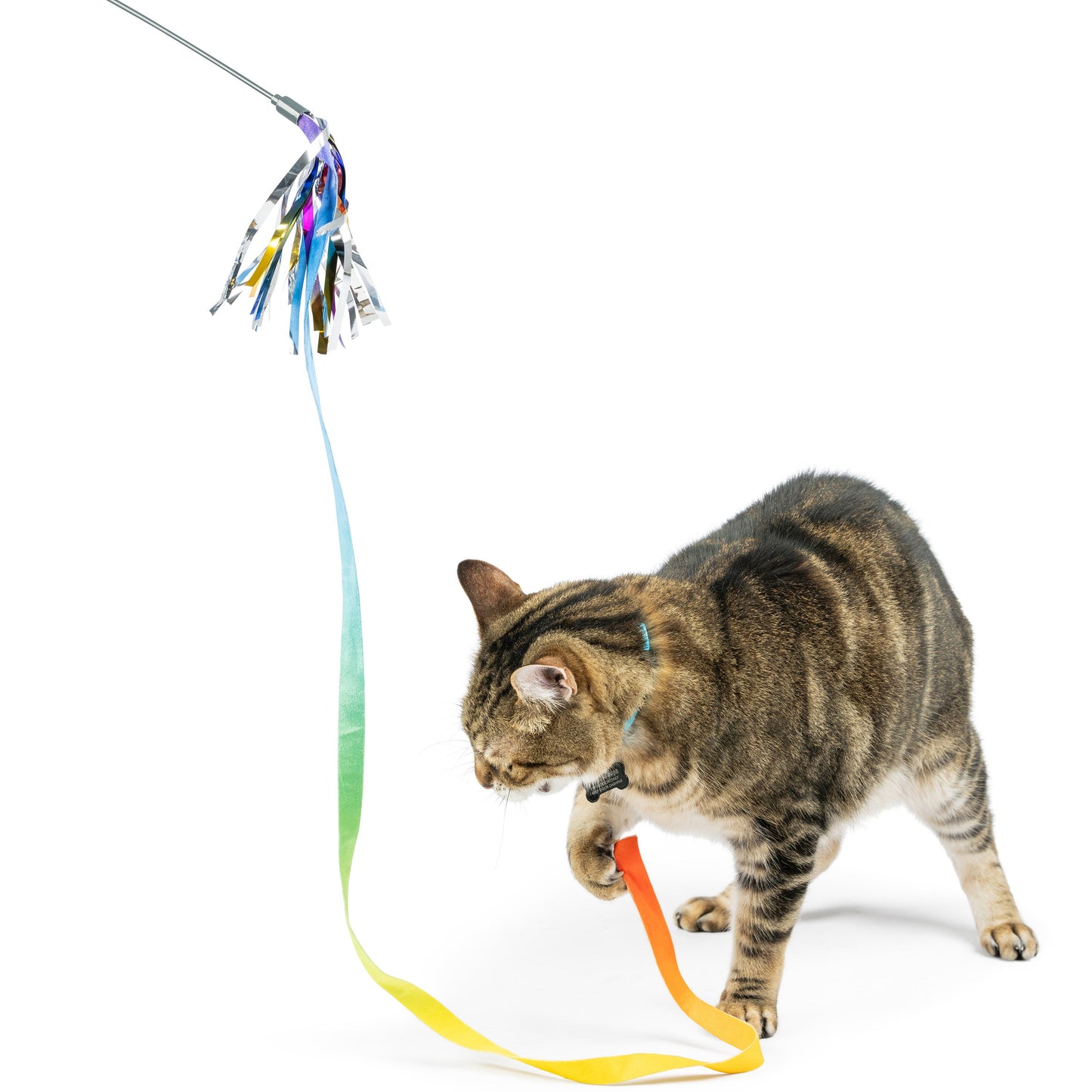Dance & Lure Wand Cat Toy, Rainbow