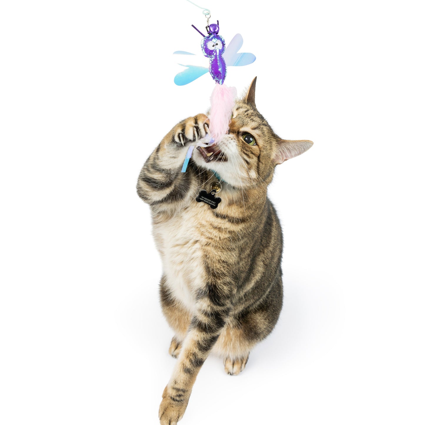 Cat Toy Wand Refill - Dragonfly Streamers 2pk
