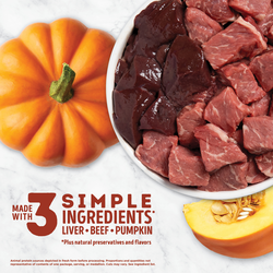 ACANA Freeze-Dried Dog Treats, Beef & Pumpkin
