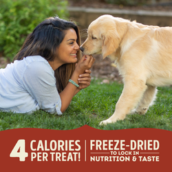 ACANA Freeze-Dried Dog Treats, Beef & Pumpkin