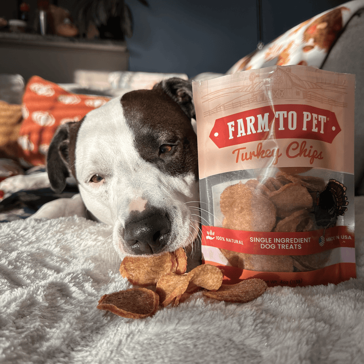 Farm to Pet | Turkey Chips for Dogs | All-Natural Single-Ingredient Healthy Dog Treats, 12oz