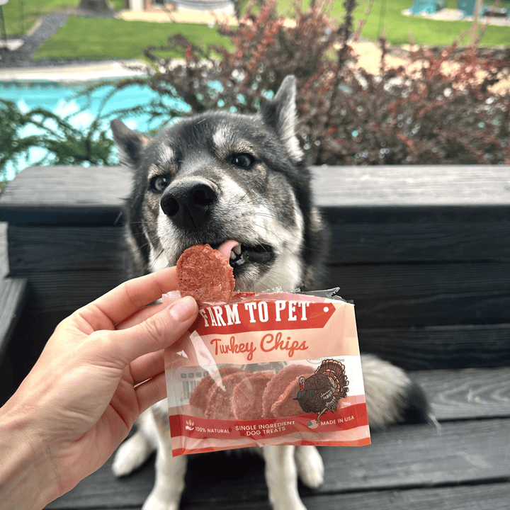 Turkey Chip Snack Pack (Count 6 Chips)