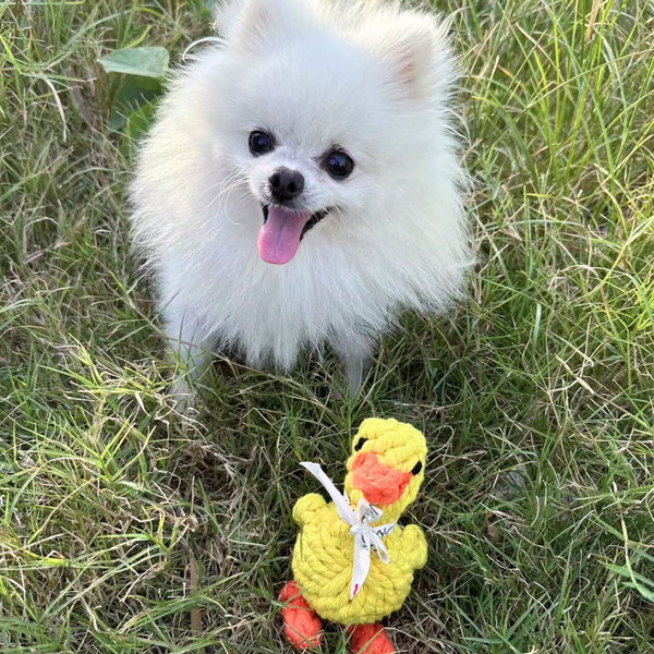 Sunny the Yellow Duck Rope Toy, Small