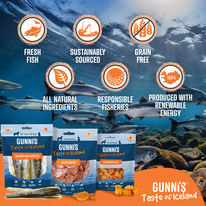 Gunni's Salmon Wafers 5oz