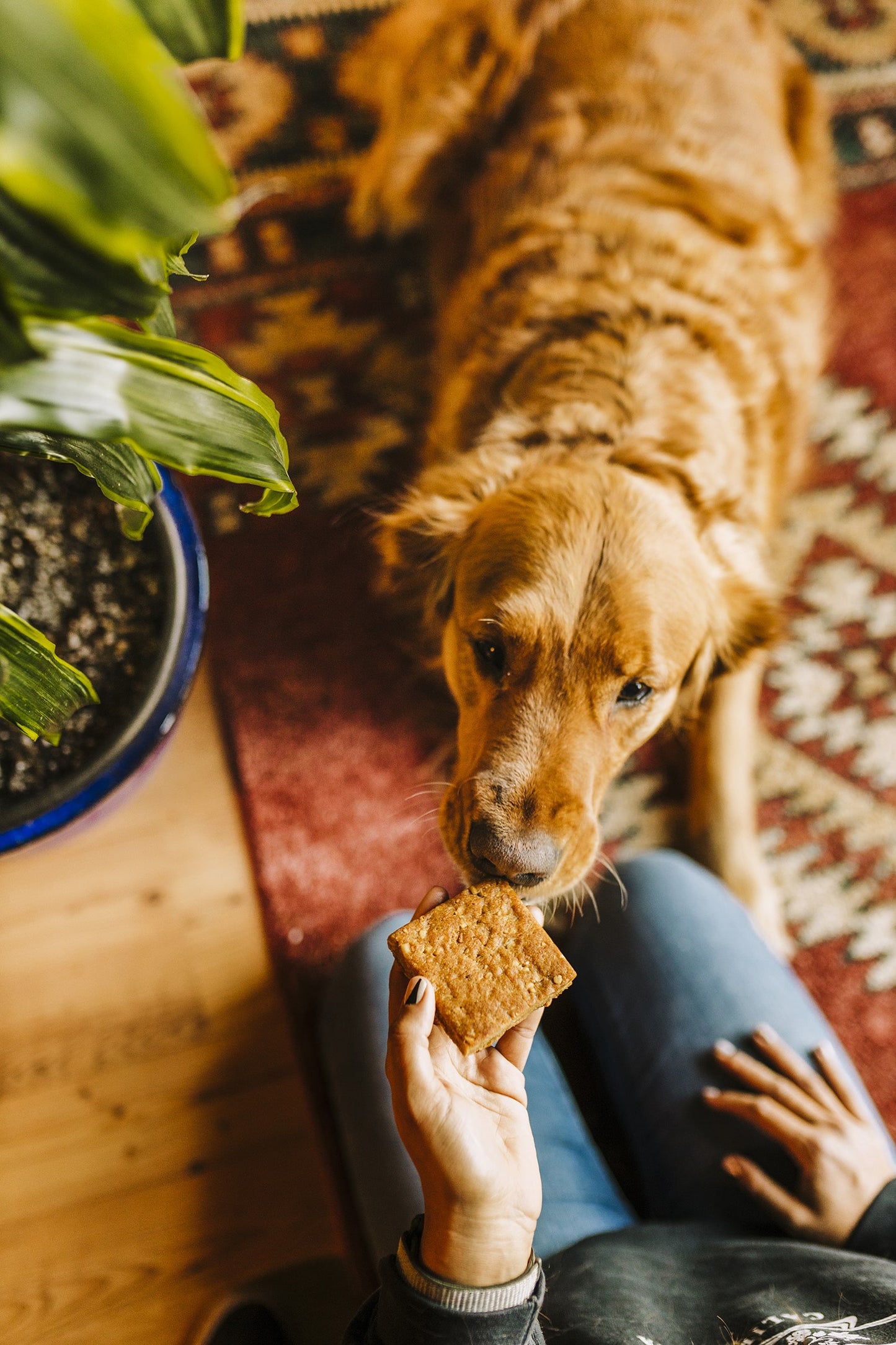 Heavenly Hounds Peanut Butter Flavored Relaxation Square