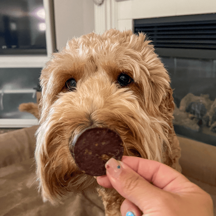 Farm to Pet | Beef Chips Dog Treats | Single-Ingredient Healthy Treats for Dogs, 4oz