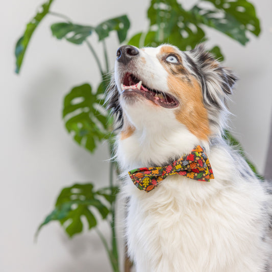 Leaves & Nuts Bow Tie