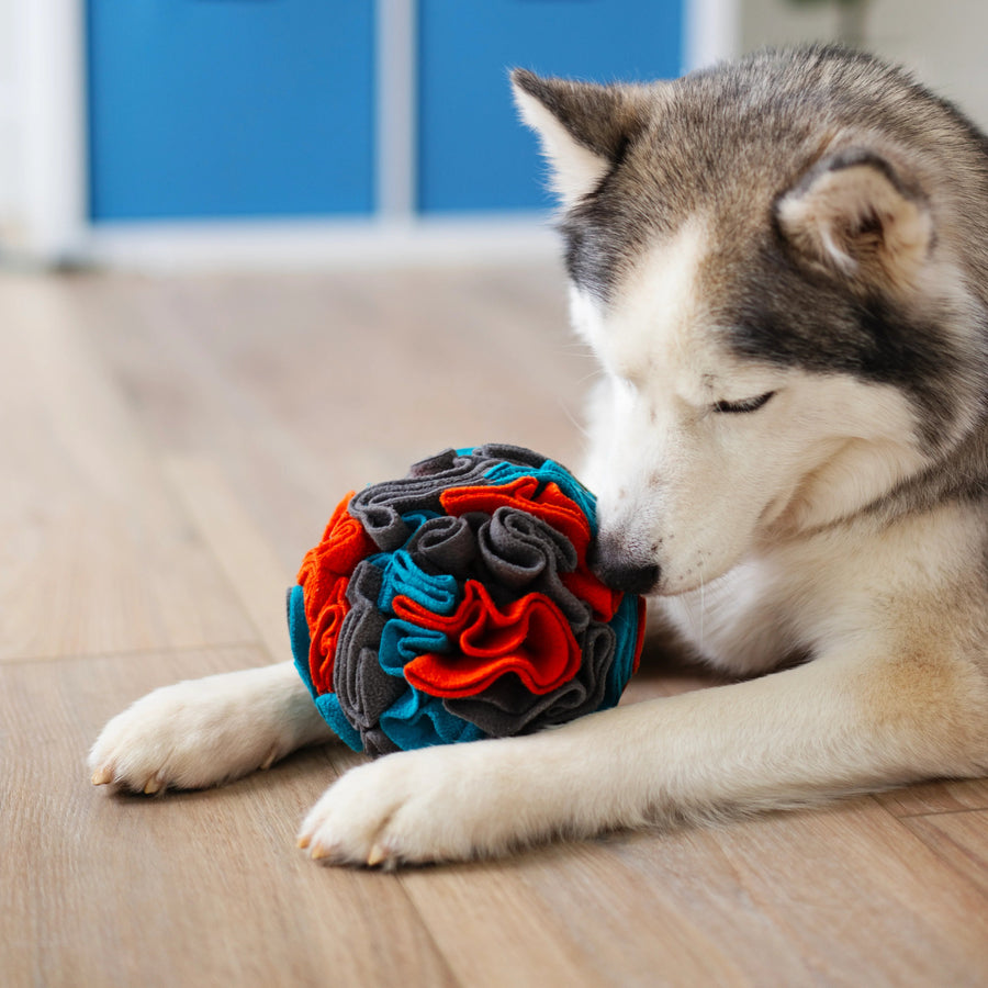 Forage/Snuffle Ball 6 inch