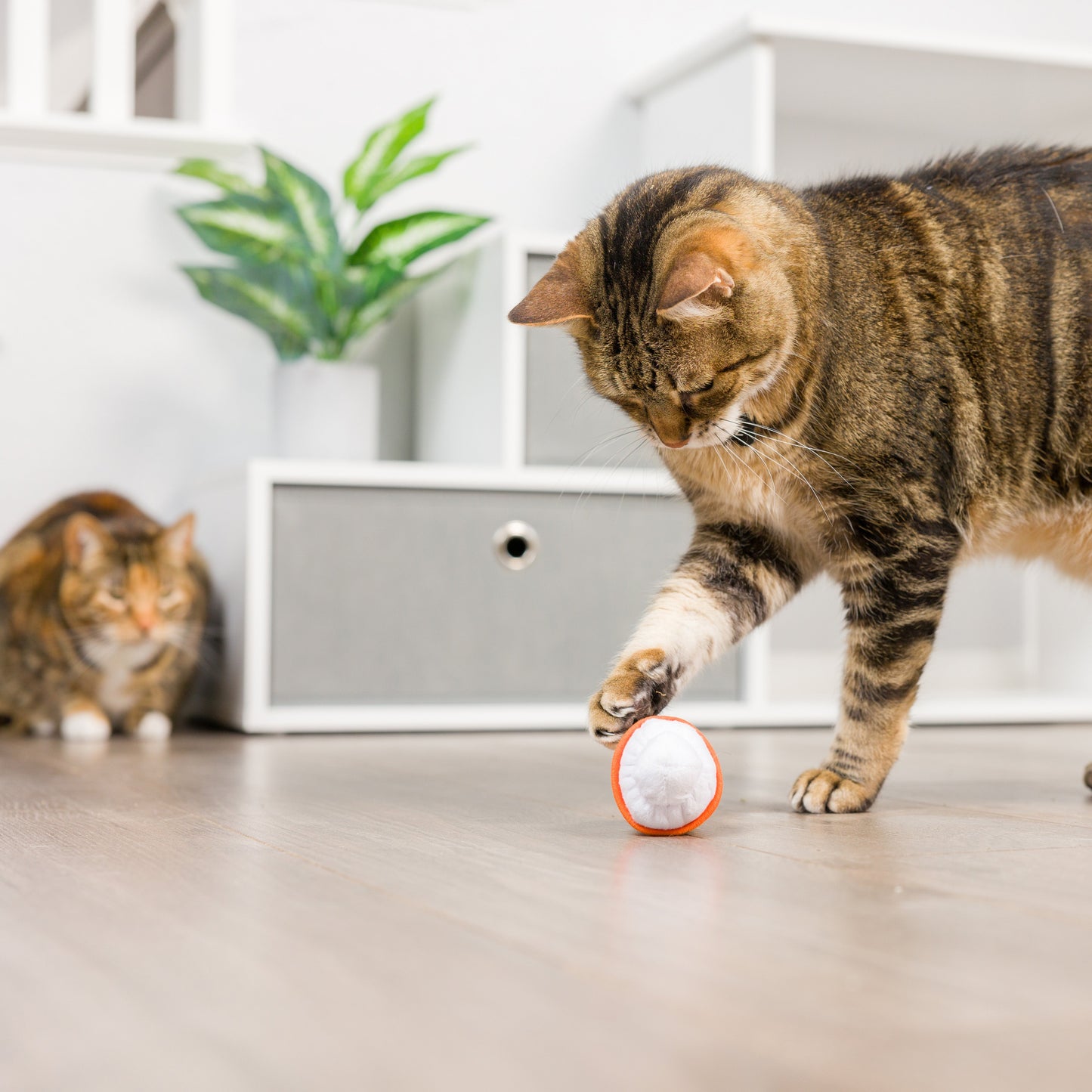 Meowww Spice Latte Cat Toy